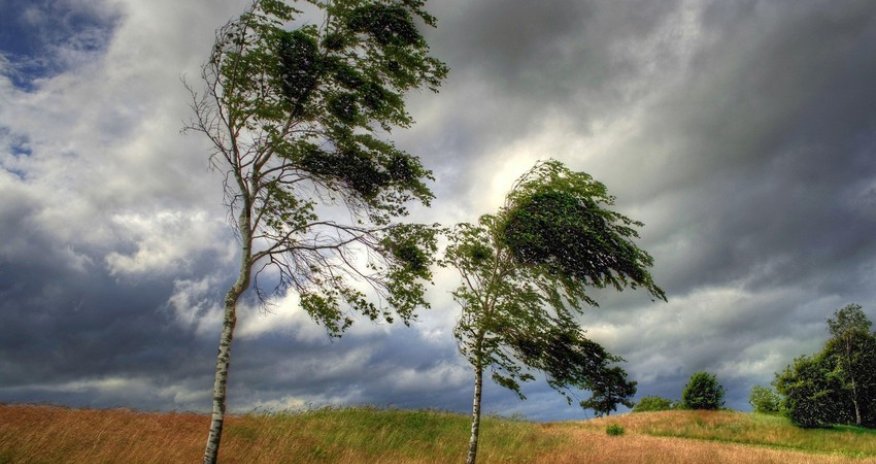 Azerbaijan weather forecast for June 20