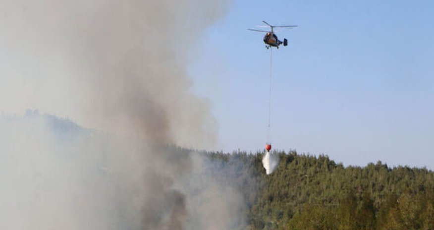 Adanada meşə yanğınları başlayıb