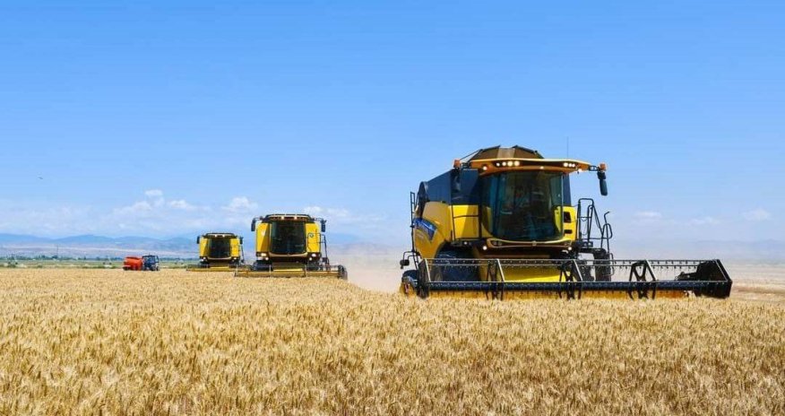 Növbəti iki ildə taxıl istehsalı rekord həddə çatacaq