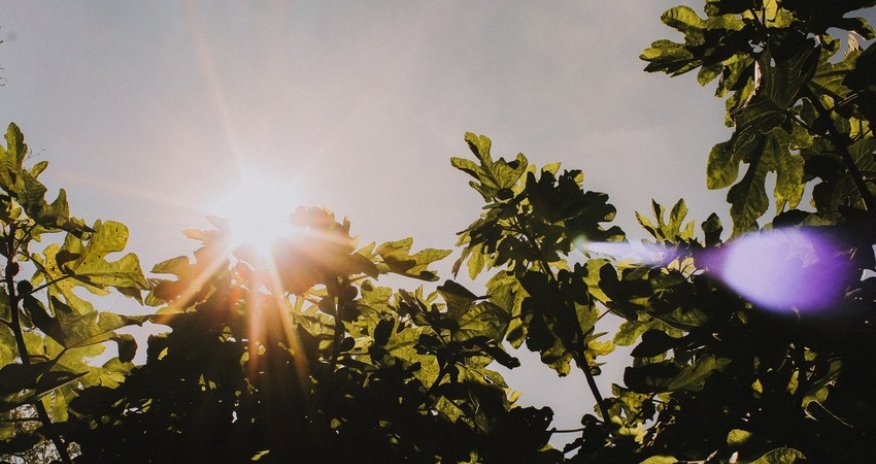 Azerbaijan weather forecast for July 12