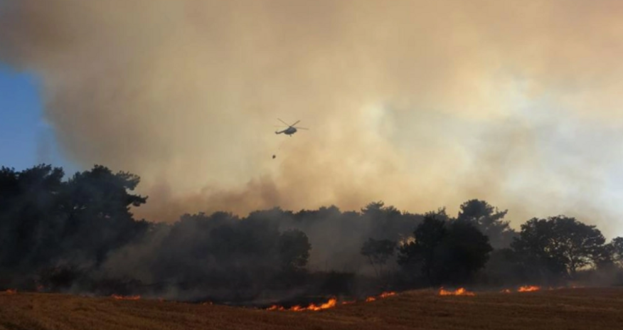 Türkiyənin bir neçə vilayətində meşələr yanır