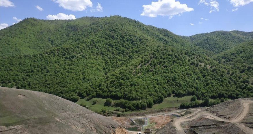 Söyüdlüdə mövcud vəziyyət təhlil edilib, təkliflər hazırlanıb