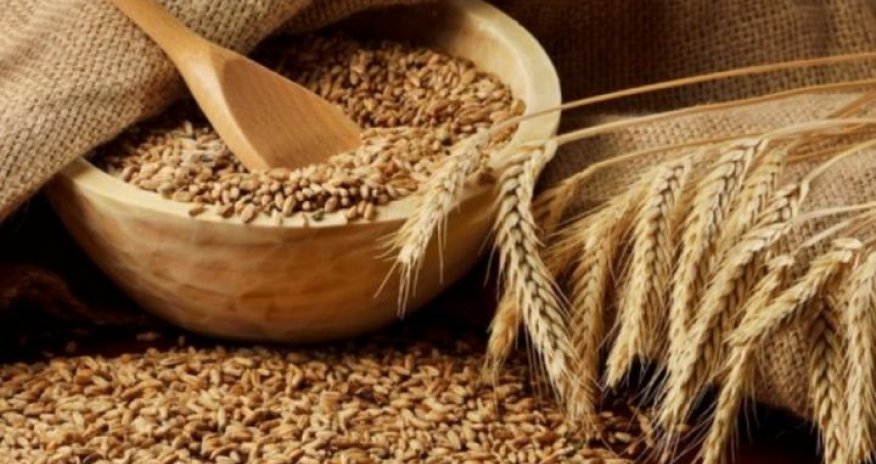 Bu ölkələr taxıl idxalına qoyulan qadağanın müddətinin uzadır