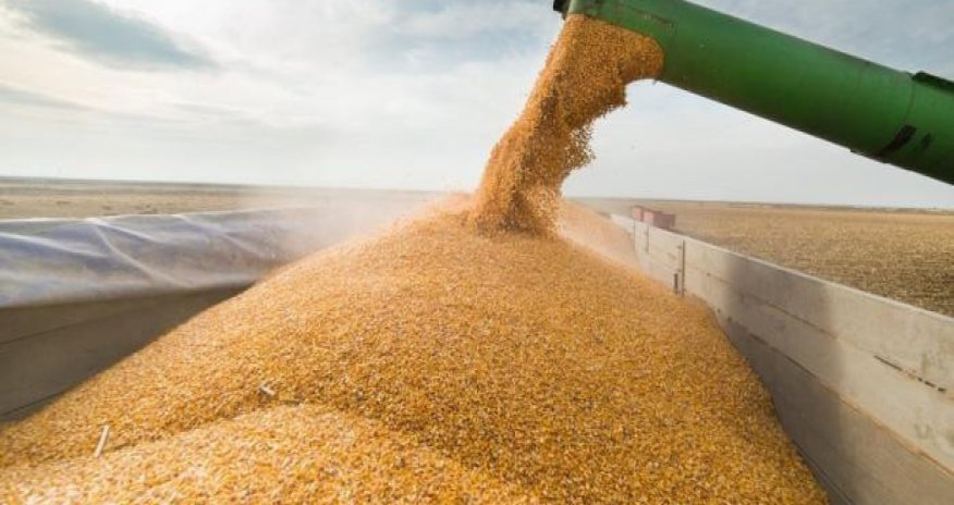 BMT Təhlükəsizlik Şurası sabah taxıl sazişinin ləğvini müzakirə edəcək