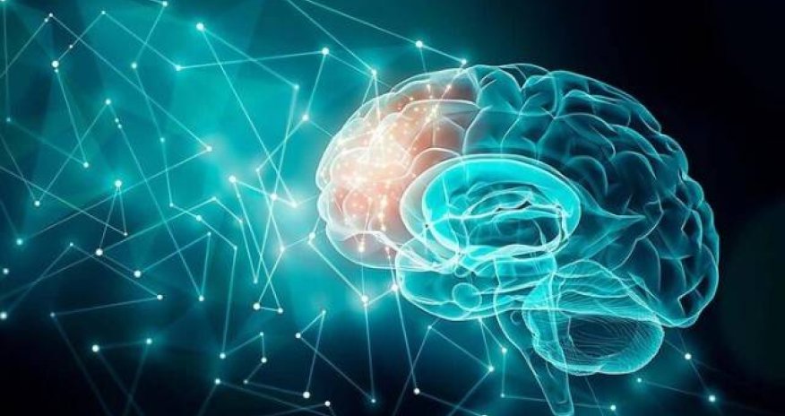 Dünyada insan beyni olan ilk çip yaradıldı