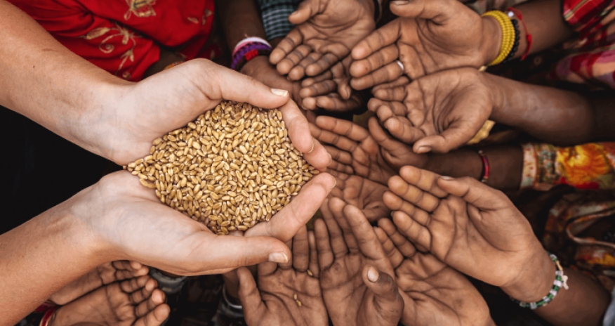 Ərzaq böhranı Azərbaycana necə təsir edəcək - Ekspert açıqlayır