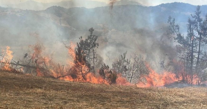 Kahramanmaraşda meşə yanğını başlayıb