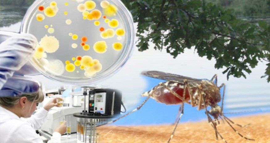 Banqladeşdə dang qızdırmasından ölənlərin sayı 300-ü keçib