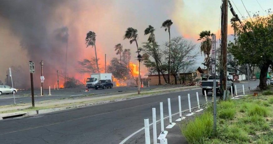 Havay adalarında meşə yanğınları nəticəsində azı 36 nəfər ölüb