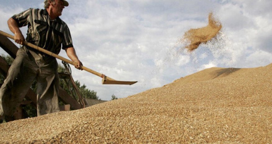 Rusiya altı Afrika ölkəsinə 50 min tona qədər taxıl tədarük edəcək