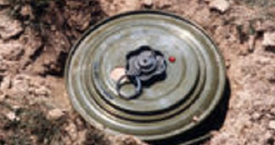 Ukraynada son bir həftə ərzində 1500-ə yaxın mina zərərsizləşdirilib