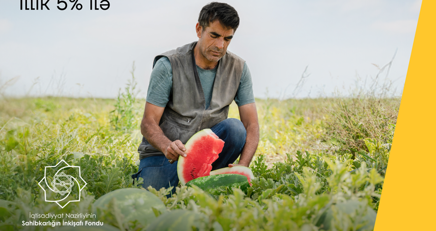 Yelo Bank-dan biznes kreditini illik cəmi 5% ilə əldə edin!