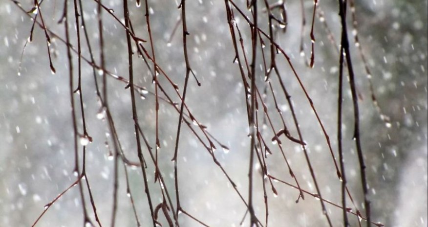 Rainy and windy weather forecast for tomorrow
