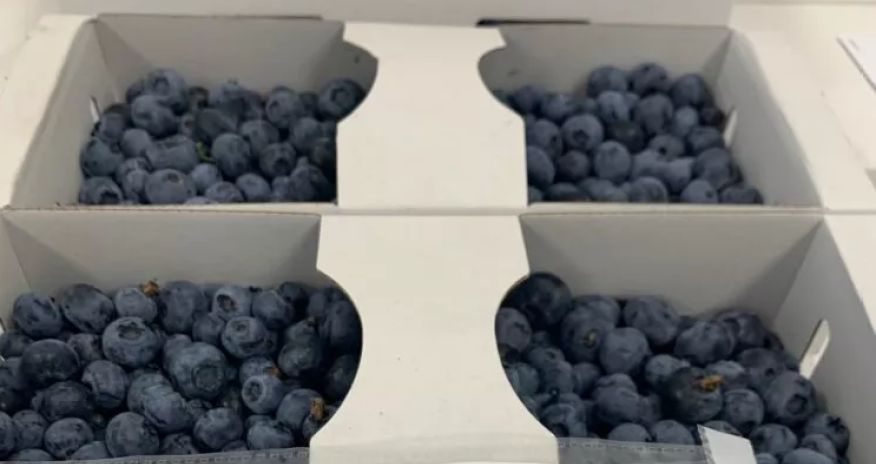 Bu ölkə meyvə və tərəvəzləri yeni üsulla təzə saxlaya bilir