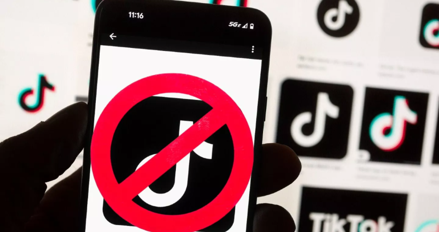 Qırğızıstan TikTok-u qadağan edib