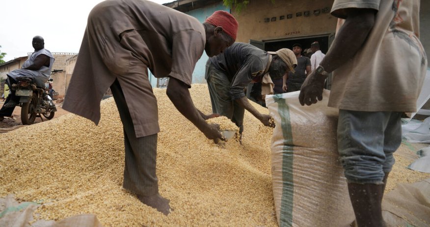 Ankara və Kiyev taxıl müqaviləsinin davam etdirilməsini müzakirə ediblər