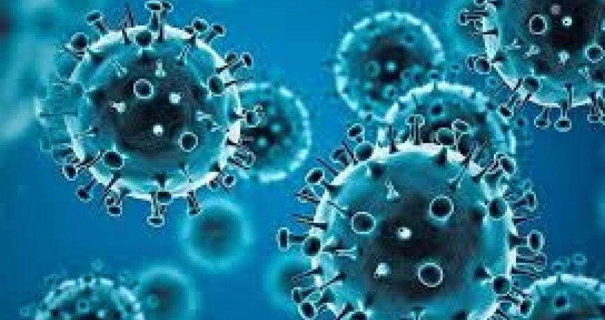 28 gündə dünyada COVID-19-a yoluxma halları 38% artıb – ÜST