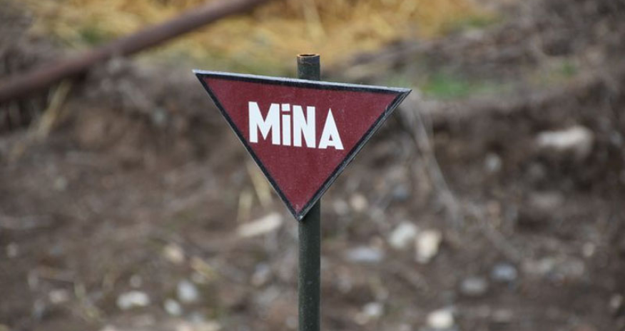 DTX və Baş Prokurorluq terror aktı ilə bağlı birgə bəyanat yayıb