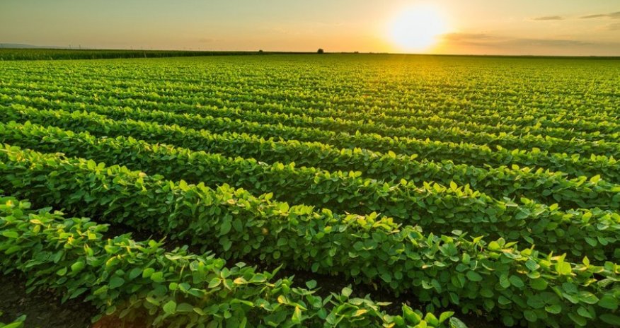 Azerbaijan reduces agricultural expenses by 8%