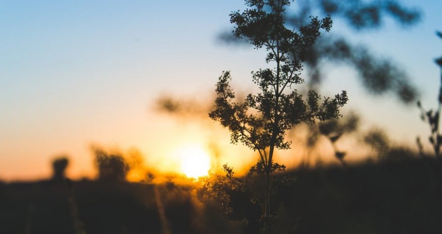 Weather forecast for tomorrow unveiled