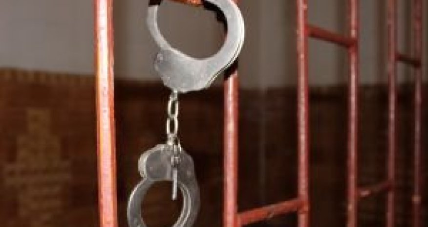 Lənkəranda meşədən mal-qara oğurlayanlar həbs edilib