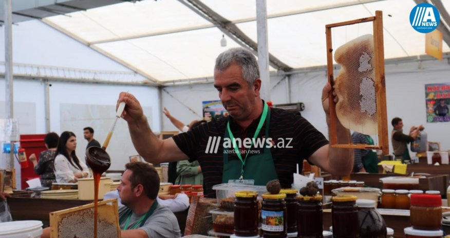Bəzi arıçılar razı, bəziləri isə narazıdır - Bal yarmarkasından reportaj - FOTOLAR