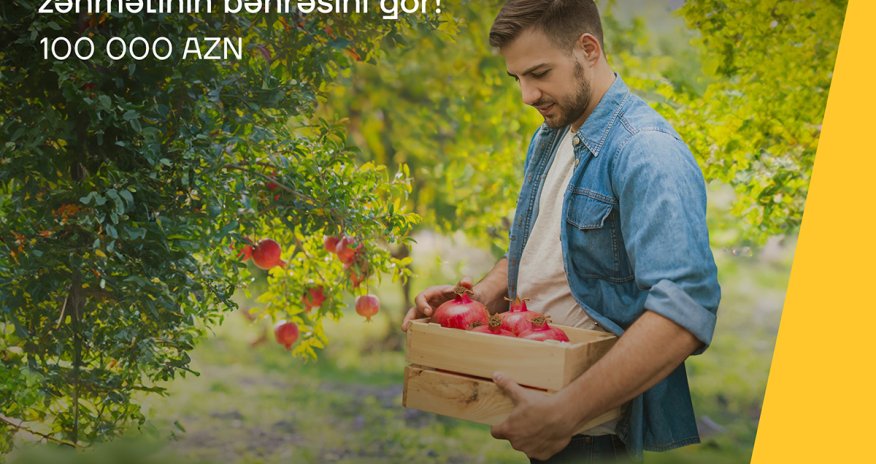 Bizneslə məşğul olanlara sərfəli mikro kredit!  