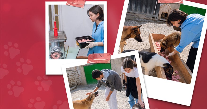 Red Hearts Volunteers Extend Helping Paw to Animal Shelter