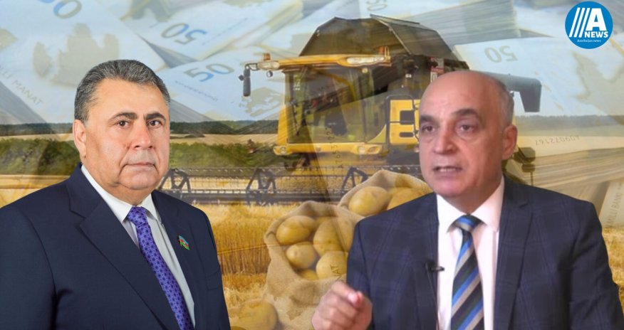 Kənd təsərrüfatına ayrılan vəsait azaldılıb - Deputat bunu düz,ekspert isə səhv adlandırır