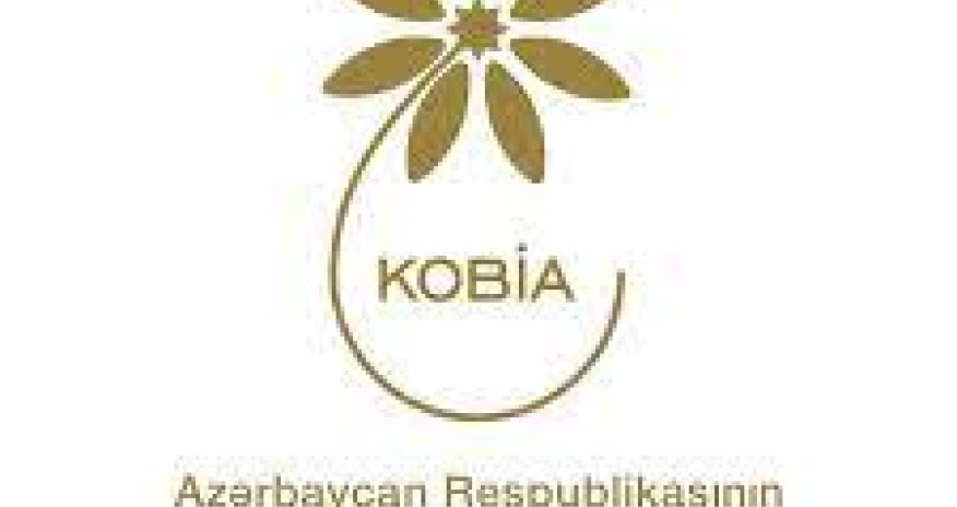 KOBİA-dan yararlanan şəxslərin sayı açıqlanıb