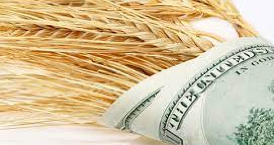 2024-cü ildə subsidiyaların həcmi azalacaq