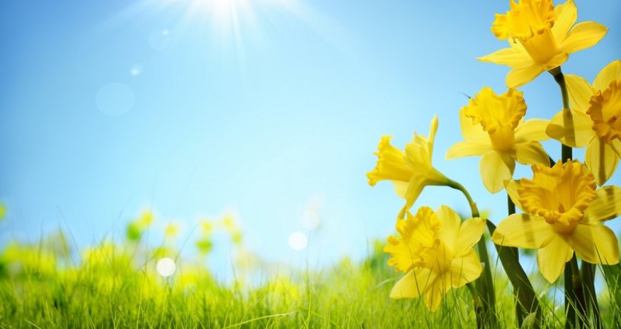 Weather temperature to reach 25 °C