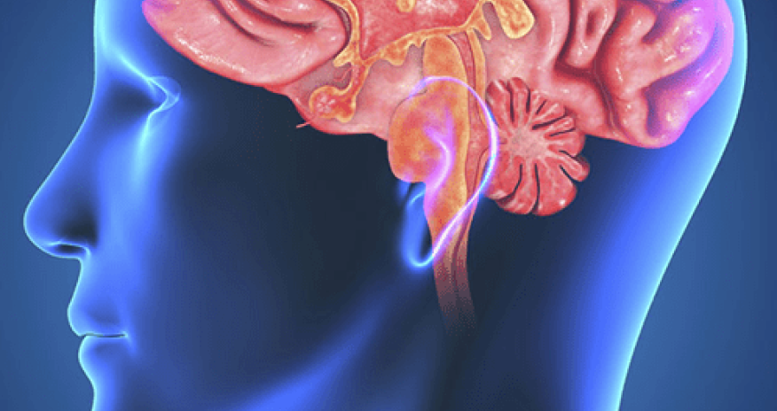 Dünyada beyin saxlanılması üçün ilk biobank yaradılıb
