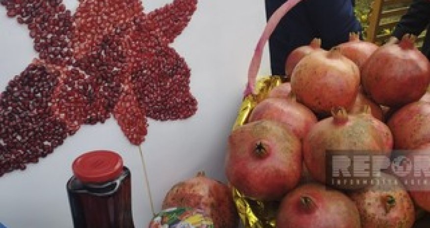 Göyçayda XV Nar festivalı keçirilir