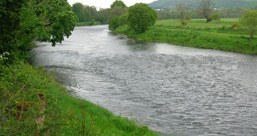Qazaxda Kürün sahili möhkəmləndirilməlidir - Deputat/VIDEO