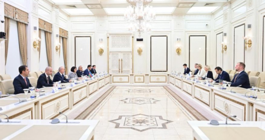 Сахиба Гафарова встретилась с главой ПА ОБСЕ и раскритиковала двойные стандарты