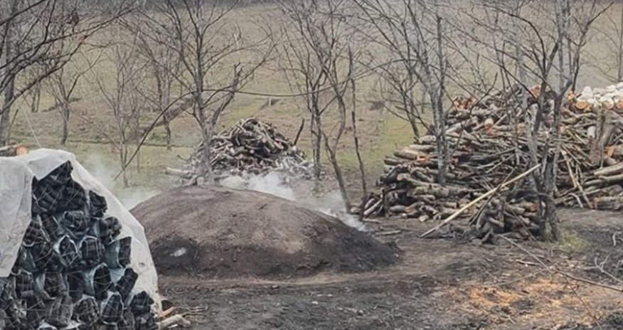 Qubada qanunsuz kömür quyusu aşkarlanıb