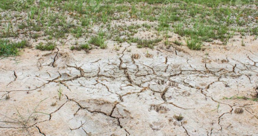 Mərkəzi Asiyada torpağın deqradasiyası ilə bağlı itkilər ildə 2 milyard dollar qiymətləndirilir