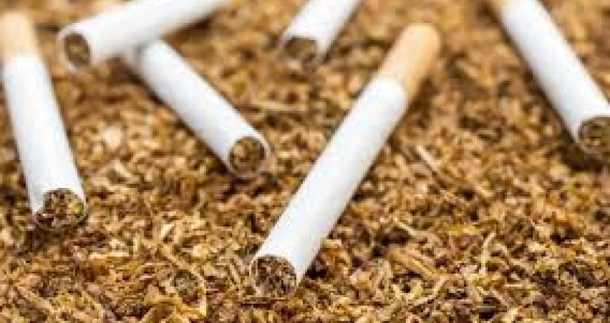 Azərbaycanın tütün ixracından gəlirləri 2 dəfə azalıb