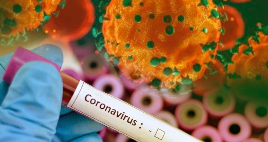 Ermənistanda koronavirusunun yeni ştammı aşkar edilib