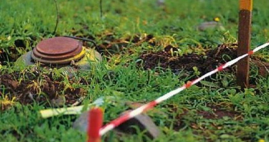 Mina xəritələrinin verilməsi üçün Ermənistana təziq olmalıdır - Elşad İskəndərov