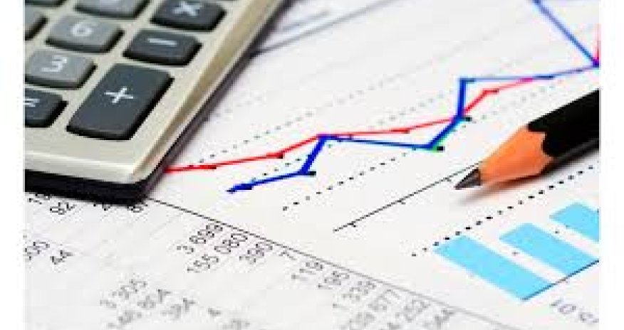 Naxçıvanda vergi daxilolmaları 29% artıb