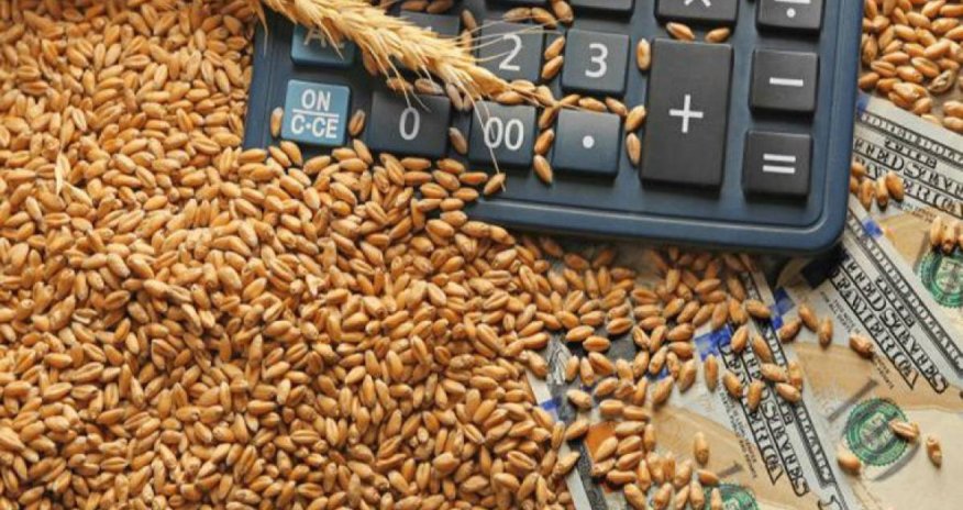 Azərbaycana gətirilən buğdanın qiyməti azalıb