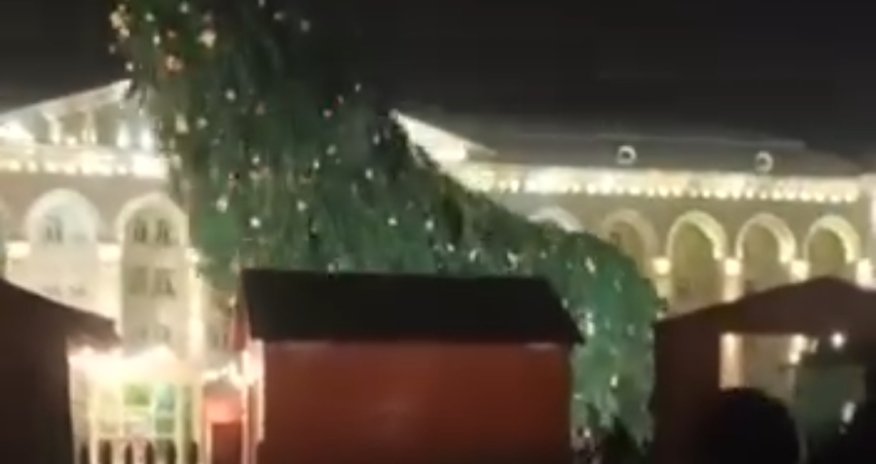 Gəncədə Yeni il ağacı aşıb