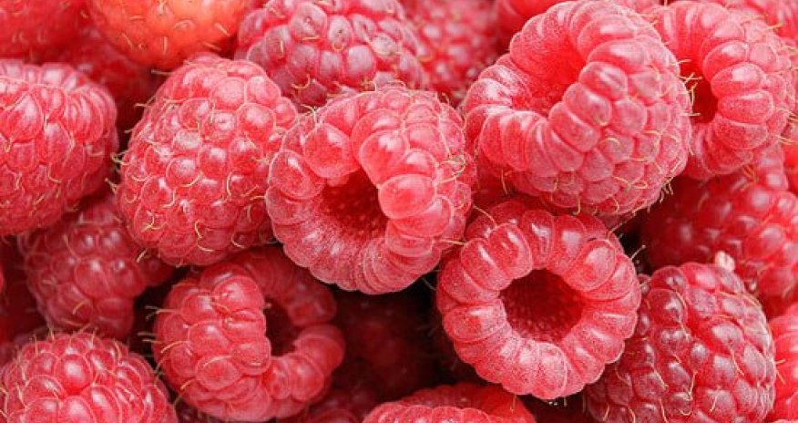 İspaniyada moruq istehsalı azala bilər - Analtiklər