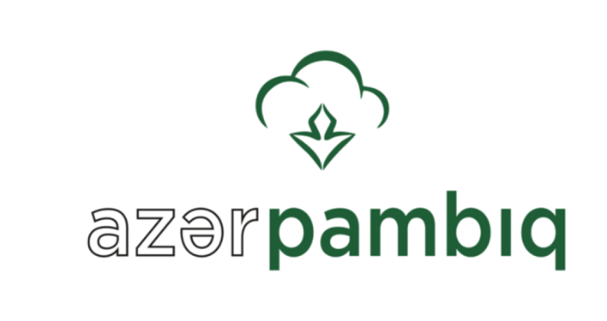 “Azərpambıq”ın ixrac gəlirləri azalıb