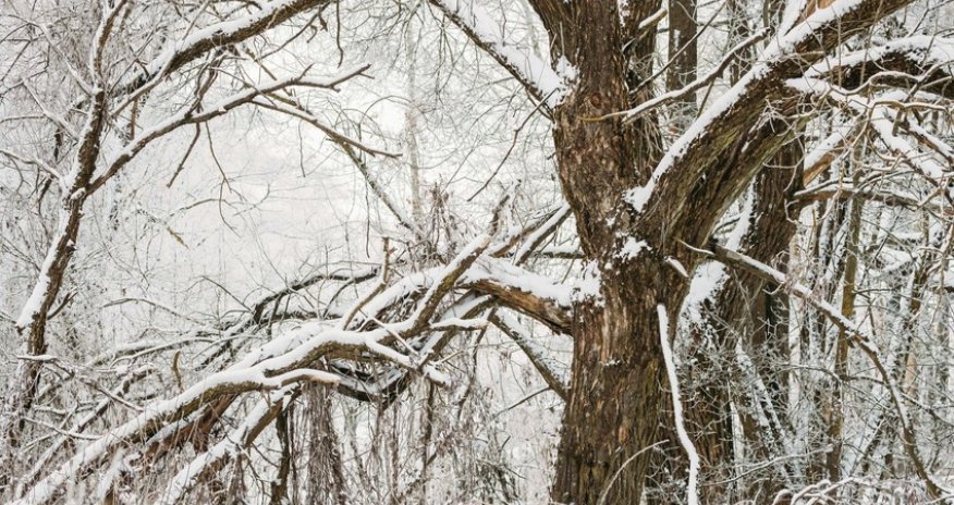 Snow, wind expected in several districts tomorrow