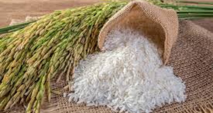 Ölkəyə idxal edilən düyünün həcmi artıb