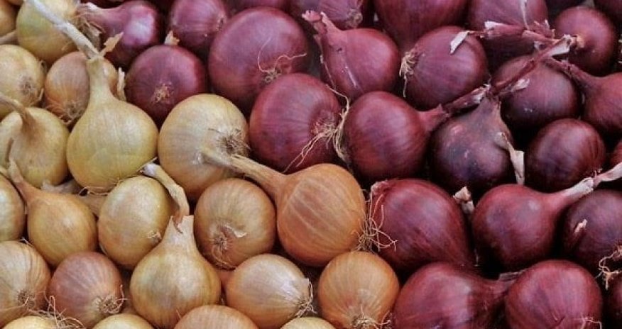 Hindistan soğan ixracına qoyulan qadağanı götürə bilər
