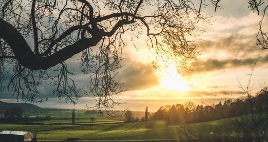 Weather forecast for February 1 unveiled